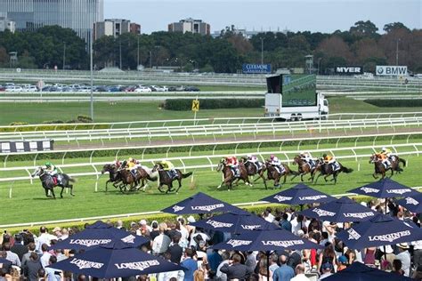 Group 2 Furious Stakes: Pro punter preview and betting strategy.